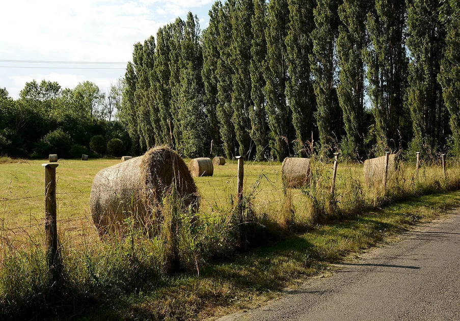 Un dimanche à la campagne : le grand retour des Français vers la nature ce week-end d'avril 2026