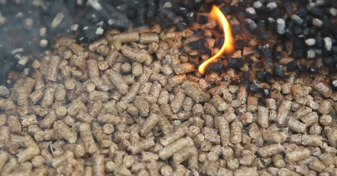 Pellets qui brule monoxyde de carbone