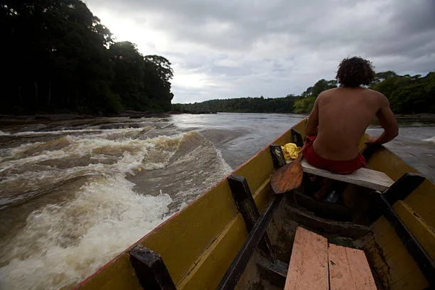 pirogue in the rapids of the approuague river, french guiana, south america - guyane photos et images de collection