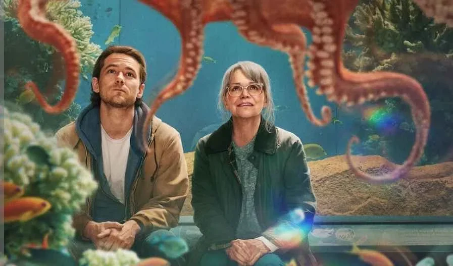 Where Was Remarkably Bright Creatures Filmed All Real Shooting Locations Revealed