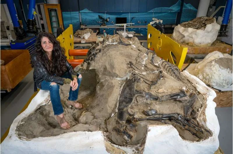 Nanotyrannus confirmed: Dueling dinosaurs fossil rewrites the story of T. rex