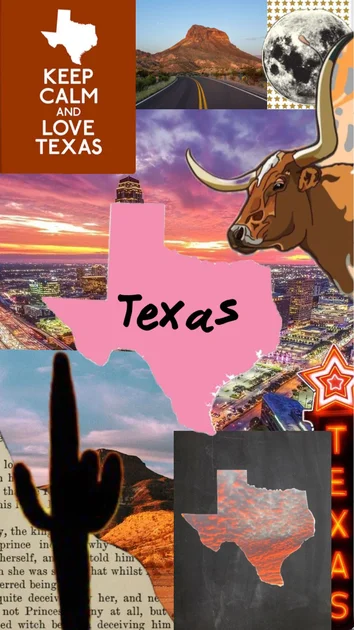 texas collage with the words keep calm and love texas