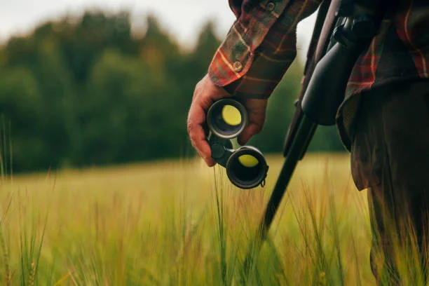 chasseurs de jour - chasse photos et images de collection