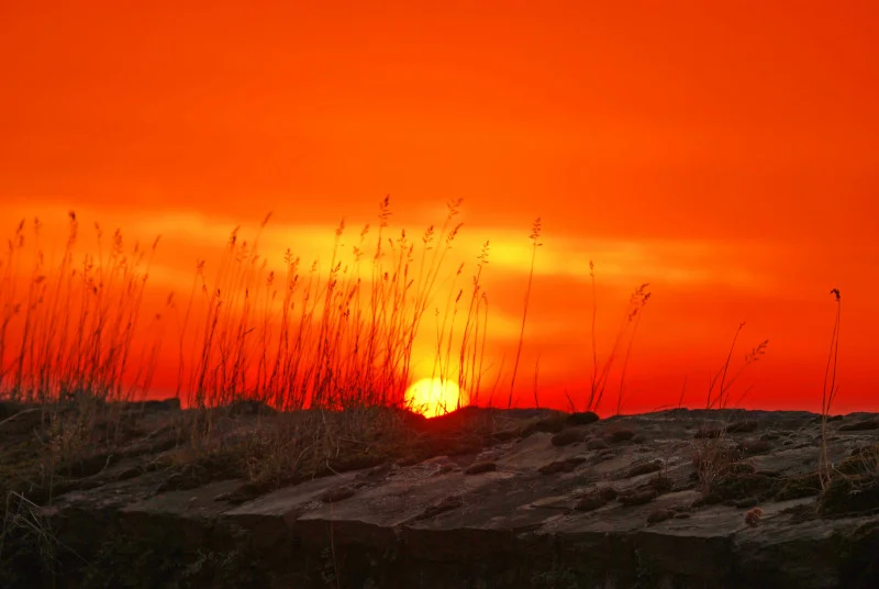 Scientists warn potential ‘Super El Nino’ could drive record global heat and climate extremes
