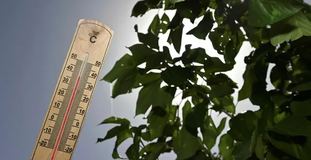photo  la vendée a été placée en vigilance rouge canicule par météo-france, à partir du dimanche 21 juin 2026.  ©  thomas brégardis / archives ouest-france