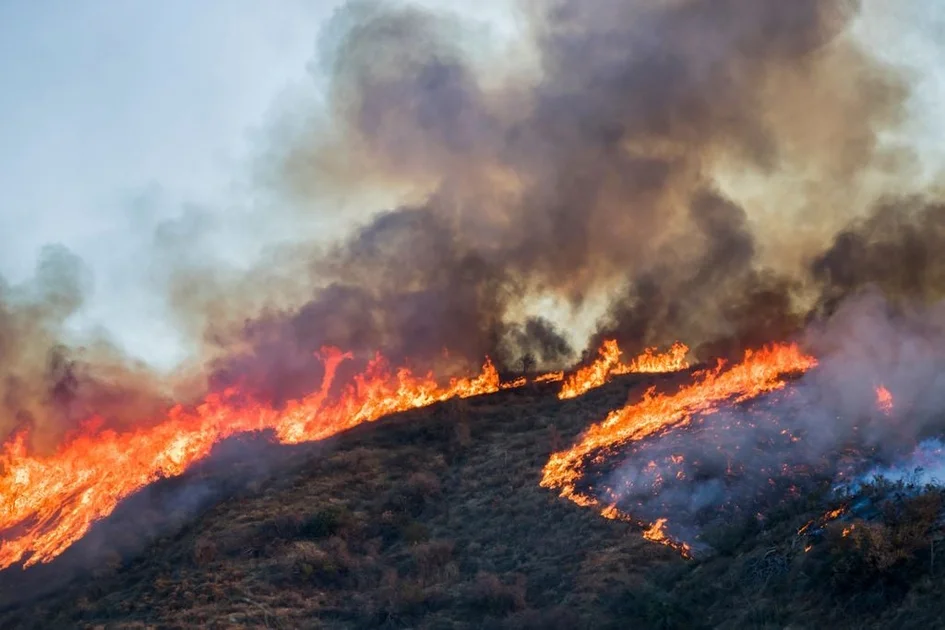 7 départements français sont en vigilance rouge au risque d'incendies ce lundi