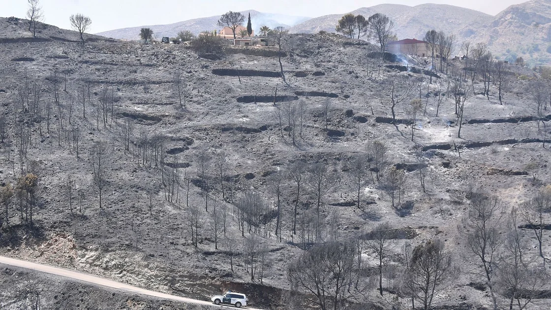 Ladera calcinada en el incendio originado en Los Gallardos, en Almería.