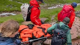 ‘I thought I was going to lose her’:  Dog rescued after ‘eating discarded cannabis’ on Ben Nevis hiking trail