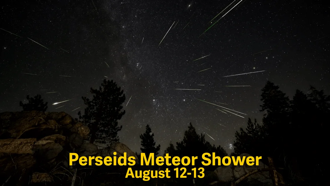 A view of the 2023 Perseid meteor shower from the southernmost part of Sequoia National Forest, near Piute Peak.