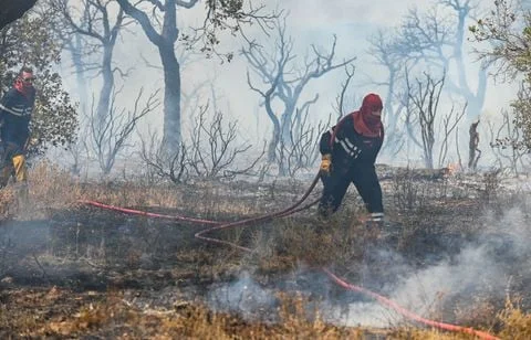 Un pompier blessé par l'explosion d'un obus après l'incendie de Canjuers