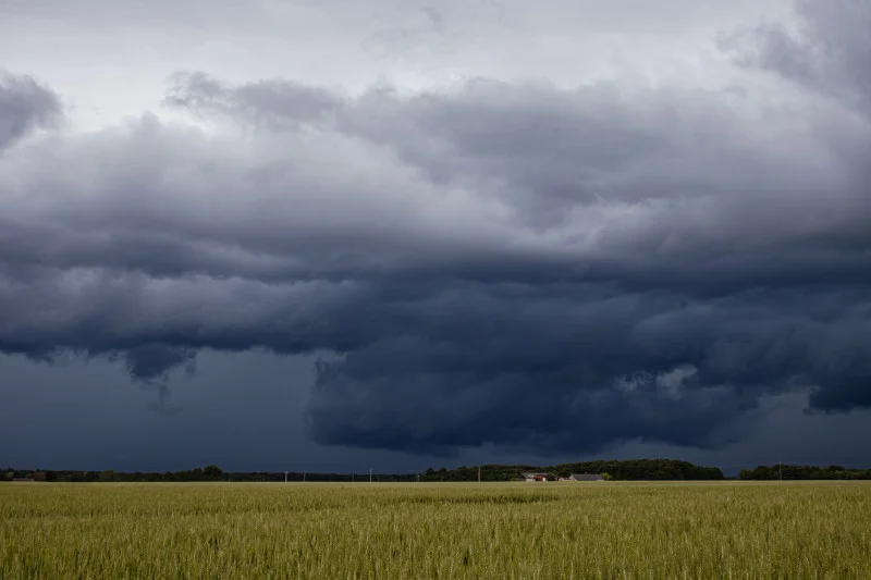 De sombres nuages ​​d'orage s'amoncellent au-dessus d'un champ de blé verdoyant dans la campagne, offrant un tableau météorologique spectaculaire.