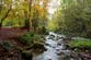 Girl, 11, found dead in river after major search at beauty spot in Scotland