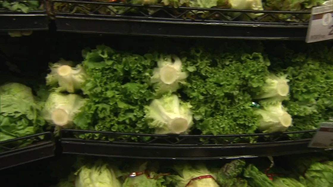 Cyclosporiasis outbreak linked to shredded iceberg lettuce expands to 15 states