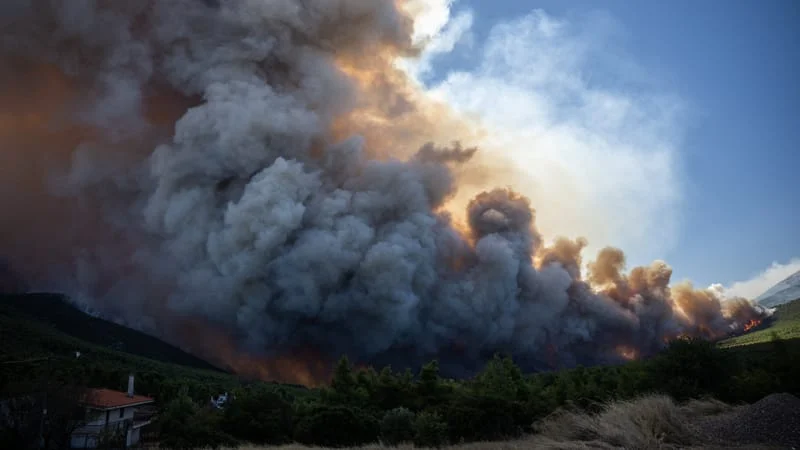 Le phénomène climatique El Niño devrait être "le plus intense" jamais observé depuis plus d'un siècle.