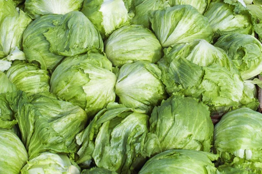 Experts believe that because lettuce is perishable, the produce that was making people sick was eaten or thrown away long ago.