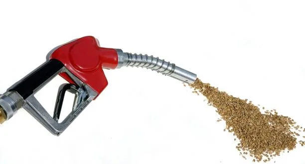 Bio carburants. Illustration du diester et de la production de bio carburants. Ble.