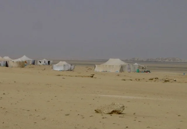 El Sahara Occidental
