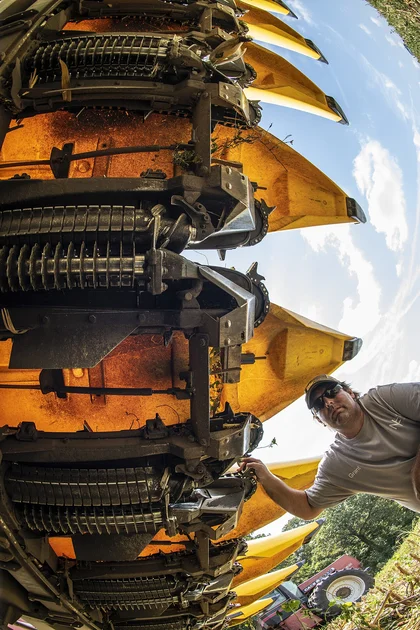 One Piece chapitre 1177 : le manga de retour après une pause, les fans en ébullition