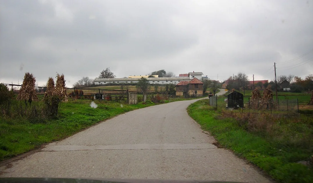 Madère en alerte : incendies, tourisme sous pression et avenir incertain pour l'île atlantique