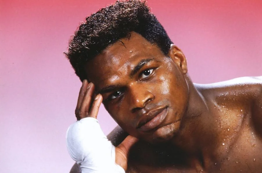 Les boxeurs français ont brigué de nombreux titres internationaux dans plusieurs catégories de poids.