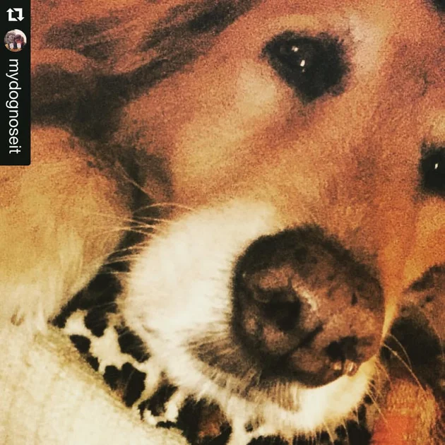 Powerball Jackpot Climbs Again: What You Need to Know About the Latest Winning Numbers and Growing Prize